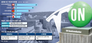 전력반도체 韓서 만드는 테슬라…낙점한 배경은