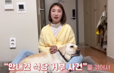 알러지 우려…시각장애인 안내견 출입 거부 식당 논란