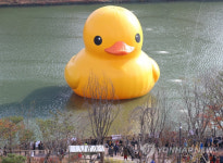 1t짜리 러버덕 이어 15m 벨리곰 잠실에 뜬다