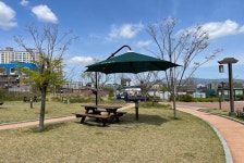 성주역사테마공원 5월1일부터 바닥분수, 파라솔 운영