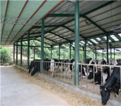 경기도, 올해‘최고의 우량 한우·젖소’선발‥20일까지 출품축 접수