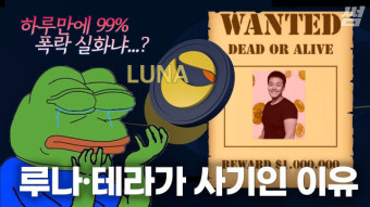 한국의 머스크…권도형 루나와 테라가 사기인 이유[영상]