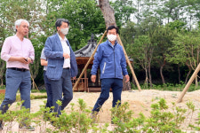 수원시, 노송공원 2단계 조성사업 완료…순환산책로 조성 등