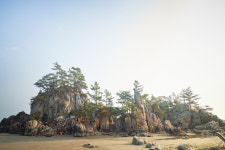 헤어질 결심 미친 프로덕션…아가씨·박쥐·올드보이 제작진이 만들어낸 극강의 미장센