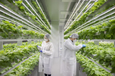 포스코인터, 식물 추출 백신벤처 바이오앱 지분 투자