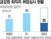 줄잇는 '금감원 퇴직자 로펌행'…취업승인 안받고 이직 사례도