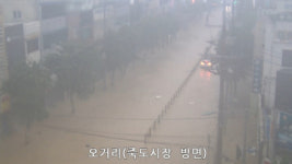 살아서봅시다…힌남노에 포항이 잠겼다, CCTV 보니