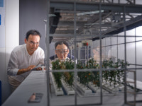 ETRI, 도시형 ‘디지털 트윈 팜’ 이끈다