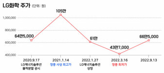 내 돈 다 날렸는데…물적분할, 이제와 막는다고요[코주부]