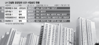[단독] 중형 공공임대 더 짓겠다더니…올 신규 공급 0