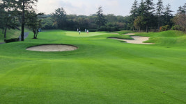 양탄자 페어웨이 테디밸리, 비결은 오버 시딩[필드소식]