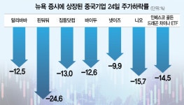 美 상장 中 5대 빅테크, 시총 하루새 75조 증발