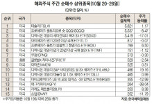 테슬라는 사랑하지만…SQQQ·SOXS 등 인버스 베팅하는 투자자들[서학개미는 지금]