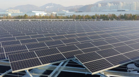 연초에 투자했으면 수익률 169%… 현대에너지솔루션 전망도 쨍