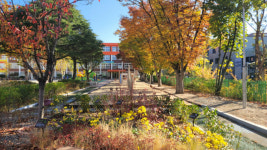 대구 북동초, 학교숲 신규 조성 ‘최우수’