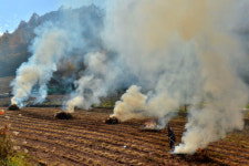 논·밭두렁 태우기 등 소각 행위 말아주세요