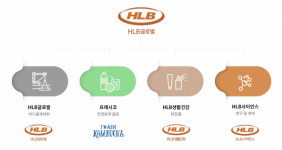 HLB글로벌, D2C 플랫폼 티아이코퍼레이션 250억원에 인수