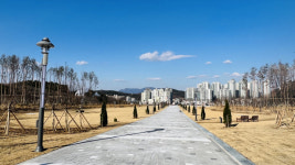 구미시 쓰레기매립장에 도시숲 조성