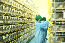 오리엔트바이오 3분기 흑자전환…매출은 16% 증가한 229억 원