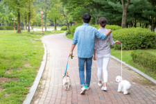 개 산책 금지하고 쥐약 조심하라는 아파트…안내견은 어쩌나 비판도