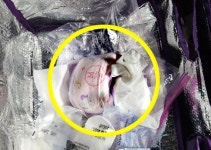 “프레시 백에 똥기저귀까지 제발 이러지 마세요”…쿠팡맨의 한숨