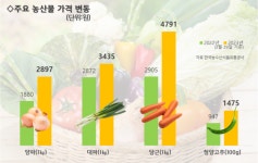 반찬이 전부 풀인데…가격은 껑충, 이상기후 때문이라고?