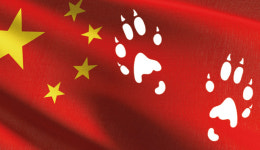 [만파식적] ‘여우 사냥’과 ‘늑대 외교’