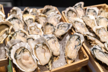 정부, 굴·전복도 수출 전략품목 키운다