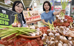 [포토뉴스] 하나로마트 햇 주대 마늘