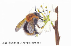 아름다운 사계절과 생명들을 기억합니다[지구용]