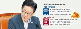 이재명 소환·김혜경 비서 선거법 위반…민주, 사법 폭풍속으로