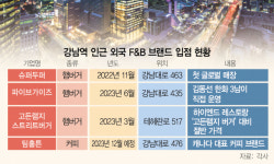 캐나다 국민커피도 입성…여전히 '핫'한 강남
