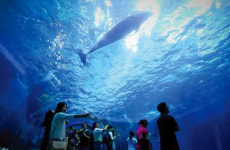 울산 장생포고래특구 야간관광 스타트