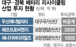 대구·경북 이차전지 도시광산 거점 됐다