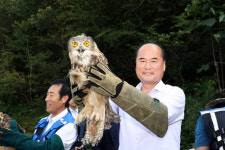 상주시, 재활치료 마친 야생조류 방사