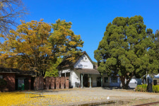 라운드 뒤 소나기마을서 떠올리는 첫사랑…양평으로 떠나는 파크골프 여행 [어깨동무]