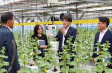 [사진] 스마트강소농 육성 나선 농진청