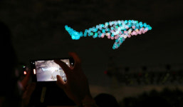 울산 남구, 태화강 빛 축제 철새공원서 개최