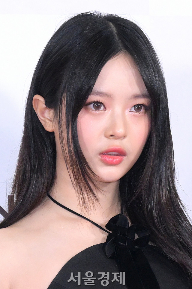 뉴진스 하니 국감 출석 SNL코리아 패러디 논란에 팬들과 멤버들 긴장감 고조