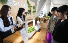스마트팜 살펴보는 도시농부