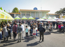 2회 문경의맛 푸드페스티벌 성황