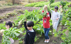 꼬마농부들의 즐거운 발걸음