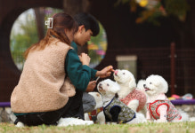 산책이 공포…묻지마 폭행에 떠는 반려견주