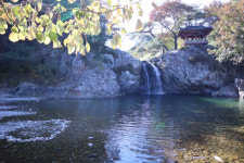 속리산둘레길, 제9호 국가숲길 됐다