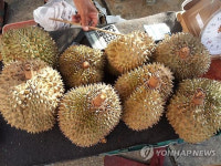 중국 때문에 커피가격 오르는 거아냐?…中부자들의 플렉스 과일 두리안 광풍에 베트남 농부들 커피밭 갈아엎는다