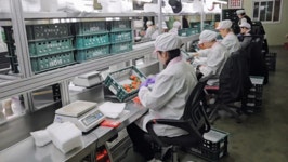 [르포] 여름 태풍 견딘 대왕 딸기…올 겨울 더 귀해져서 돌아왔다