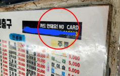 2만원짜리 석화인데 달랑 7개?…광장시장 이어 종로 포차도 바가지 논란