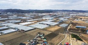 용인 반세권 토지, 92명 입찰에도 다시 경매 나온 이유 [도와줘요 부동산경매]