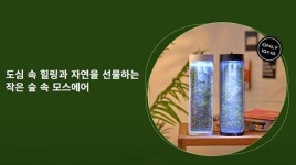 정다운인쇄기획판촉 | 홍보 담당자들에게 물었다. 인쇄 & 판촉물은 어디서?