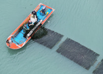 어촌 인력난 해소한다…인력 수급·근무환경 개선